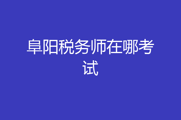 阜阳税务师在哪考试