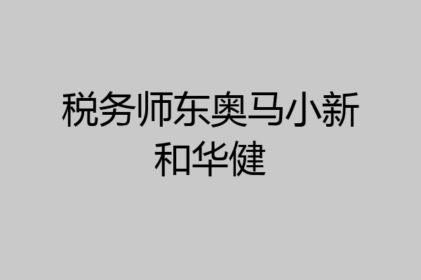 税务师东奥马小新和华健