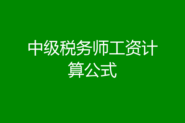 中级税务师工资计算公式
