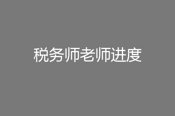 税务师老师进度