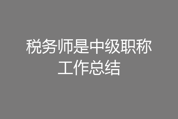 税务师是中级职称工作总结