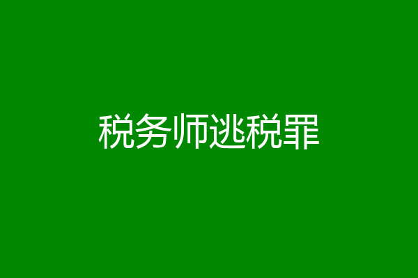 税务师逃税罪