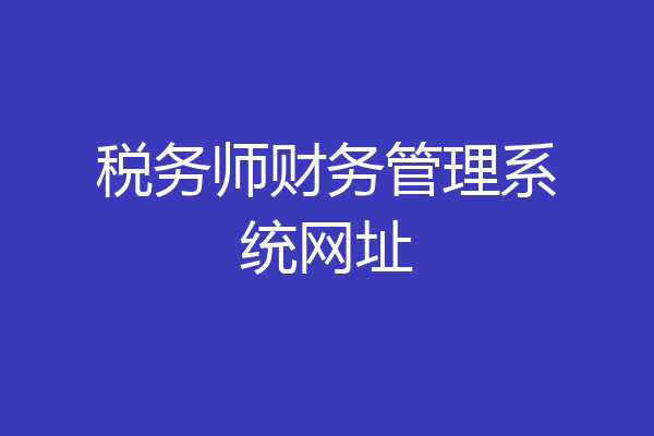 税务师财务管理系统网址