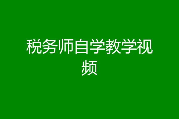 税务师自学教学视频