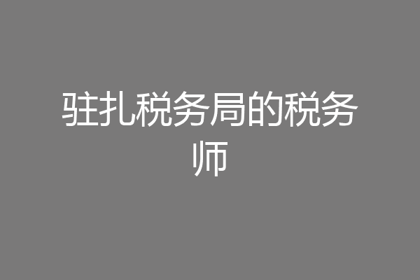 驻扎税务局的税务师