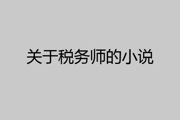 关于税务师的小说