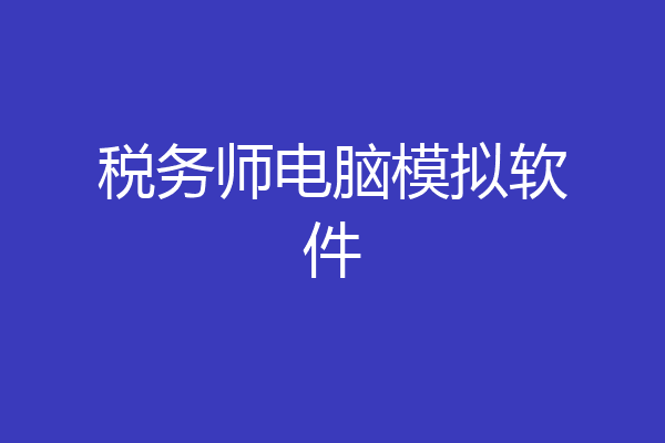 税务师电脑模拟软件