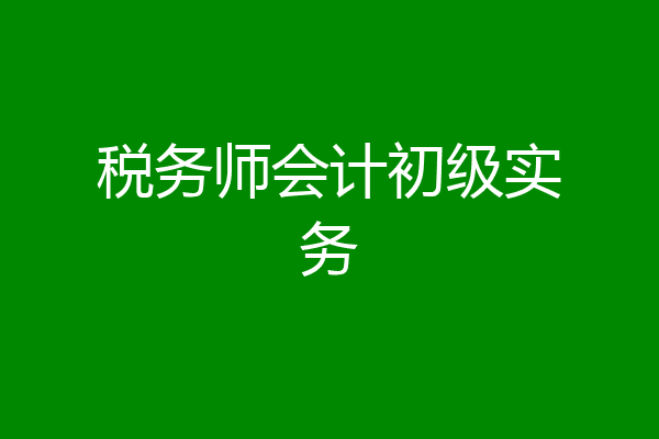 税务师会计初级实务