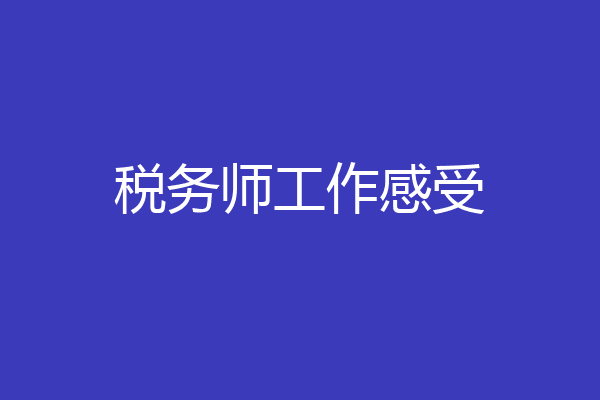 税务师工作感受
