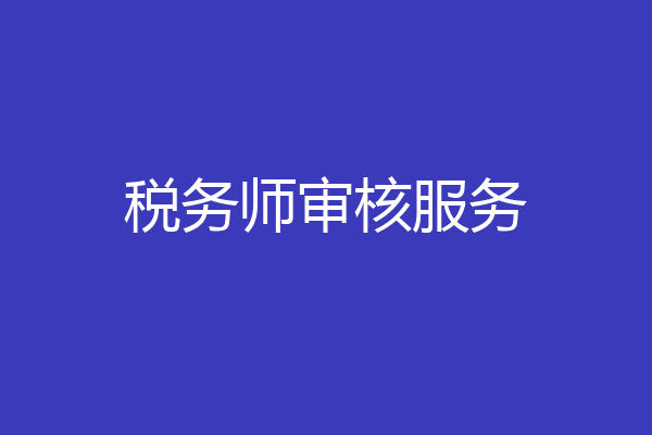 税务师审核服务