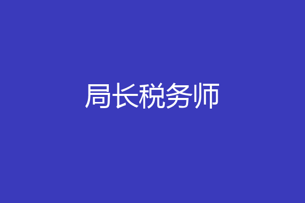 局长税务师