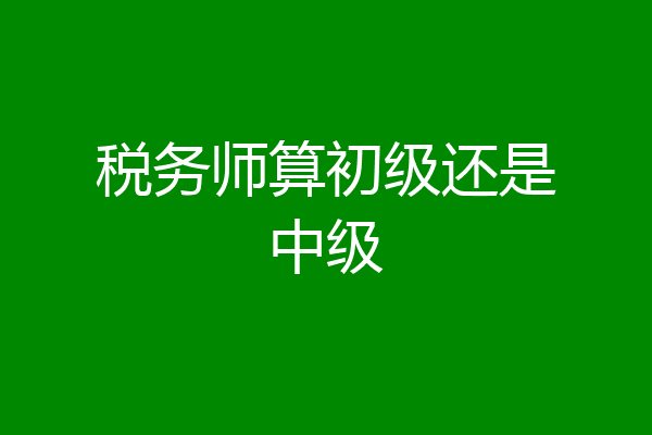 税务师算初级还是中级