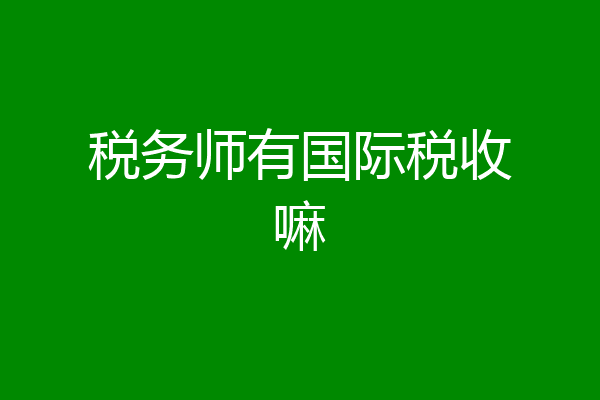 税务师有国际税收嘛