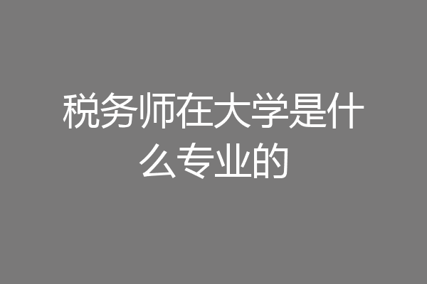 税务师在大学是什么专业的