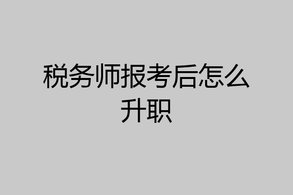 税务师报考后怎么升职