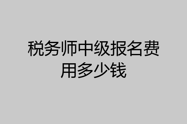 税务师中级报名费用多少钱