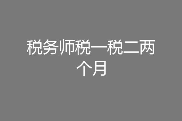 税务师税一税二两个月