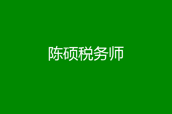 陈硕税务师