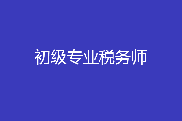 初级专业税务师