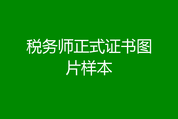 税务师正式证书图片样本