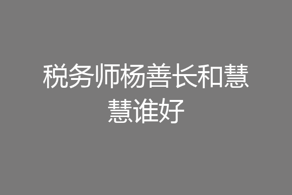 税务师杨善长和慧慧谁好