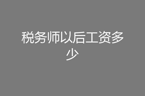 税务师以后工资多少