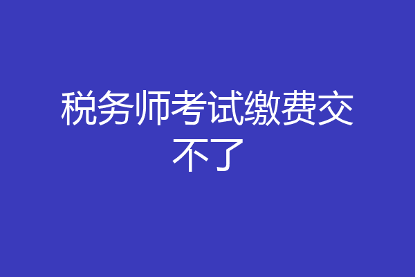 税务师考试缴费交不了