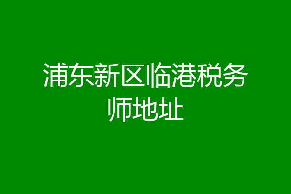 浦东新区临港税务师地址