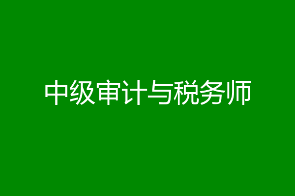 中级审计与税务师