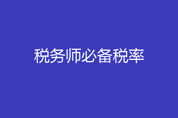 税务师必备税率
