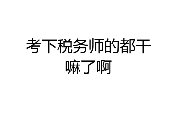 考下税务师的都干嘛了啊