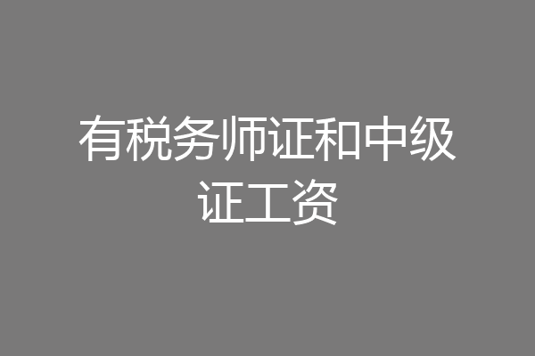 有税务师证和中级证工资