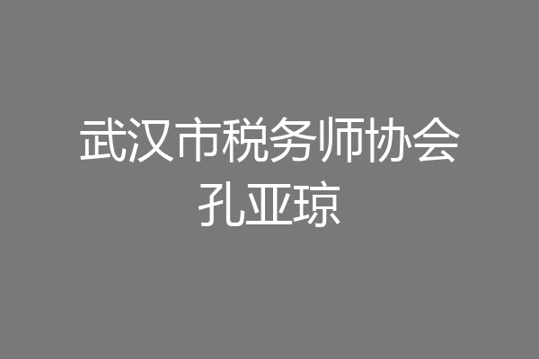 武汉市税务师协会孔亚琼