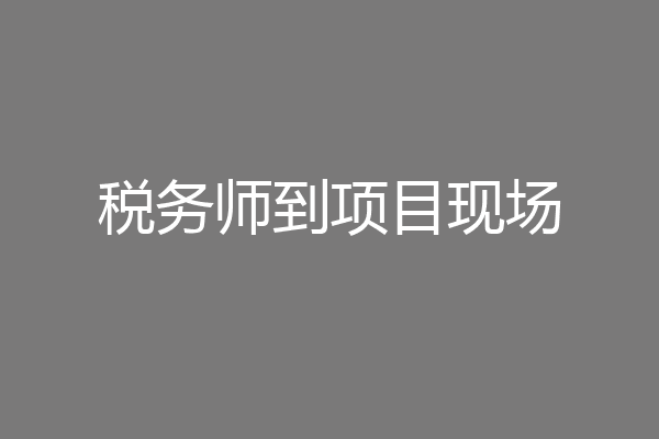 税务师到项目现场