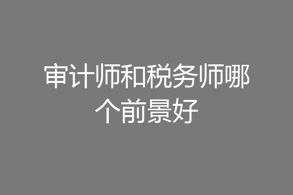 审计师和税务师哪个前景好