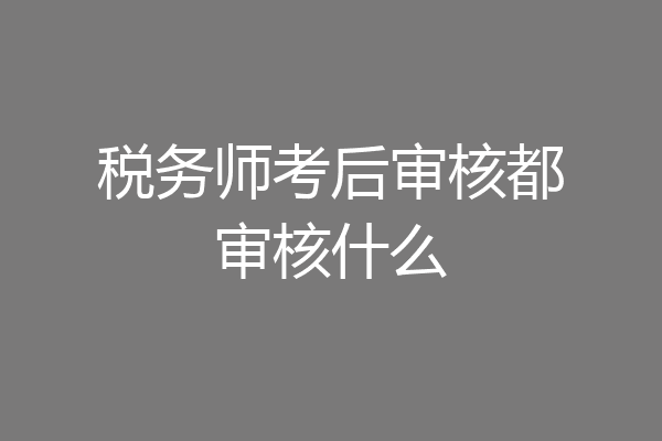 税务师考后审核都审核什么