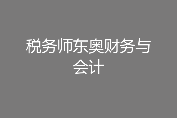 税务师东奥财务与会计