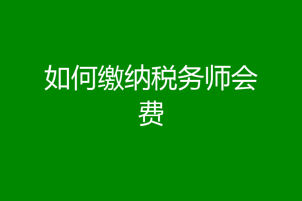 如何缴纳税务师会费