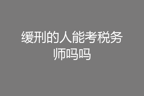 缓刑的人能考税务师吗吗