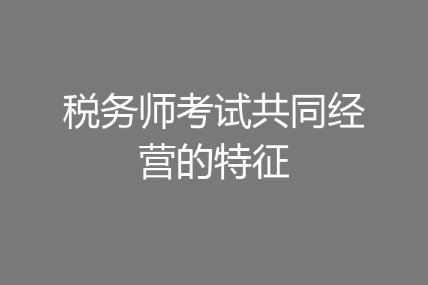 税务师考试共同经营的特征