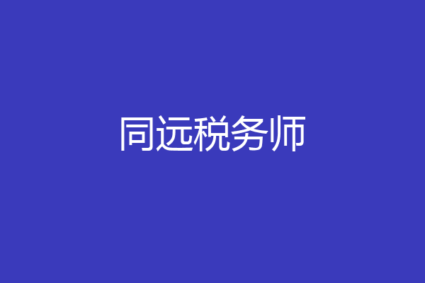 同远税务师
