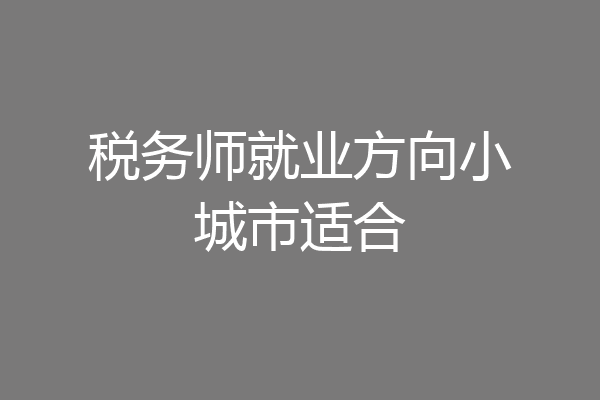 税务师就业方向小城市适合