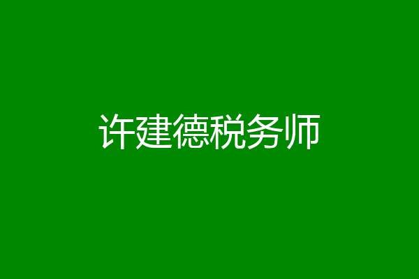 许建德税务师