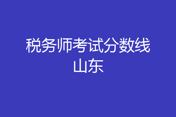 税务师考试分数线山东