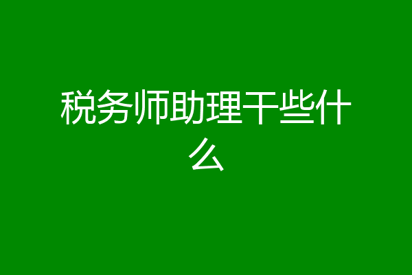 税务师助理干些什么