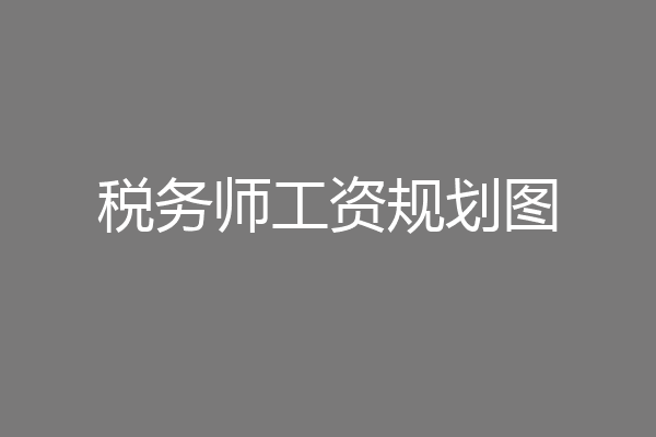 税务师工资规划图