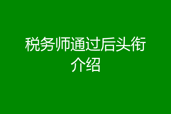 税务师通过后头衔介绍