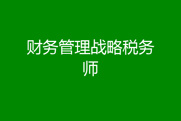 财务管理战略税务师