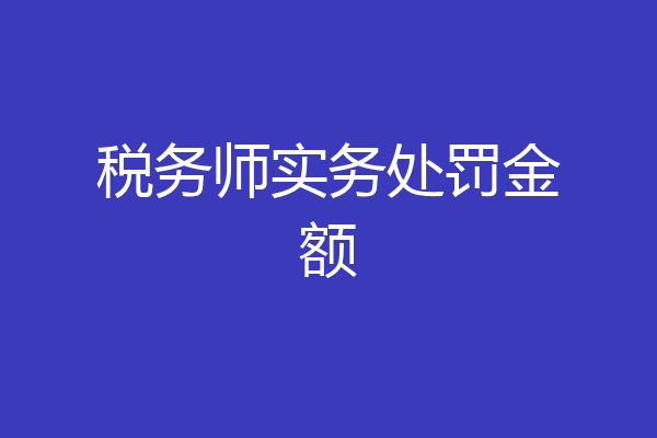 税务师实务处罚金额