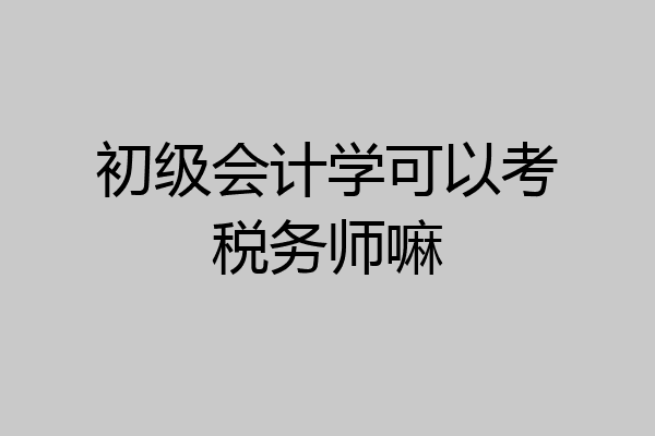 初级会计学可以考税务师嘛